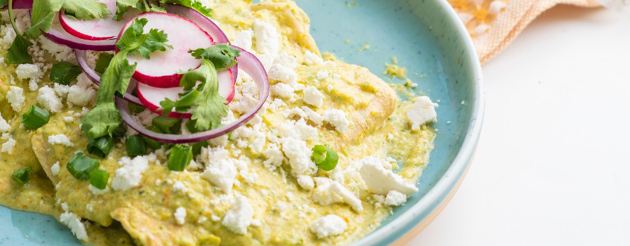 Enchiladas de queso en salsa de flor de calabaza