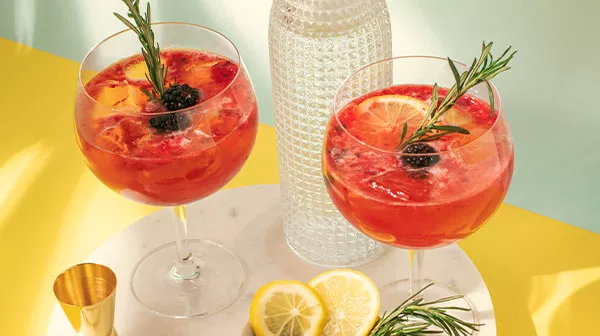 Gin Tonic de Frutos Rojos