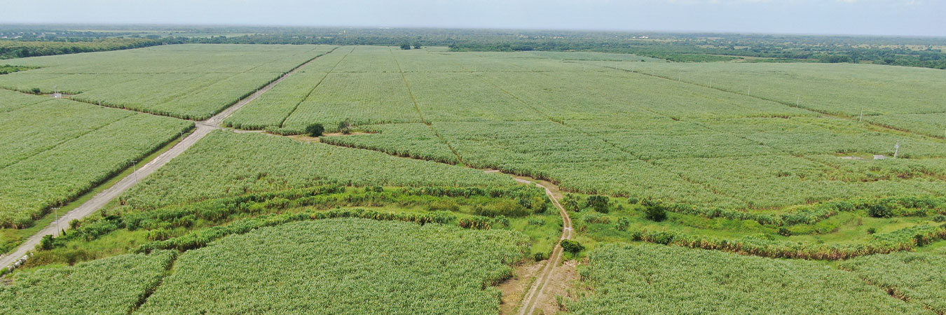 Compromiso de los empleados y la comunidad