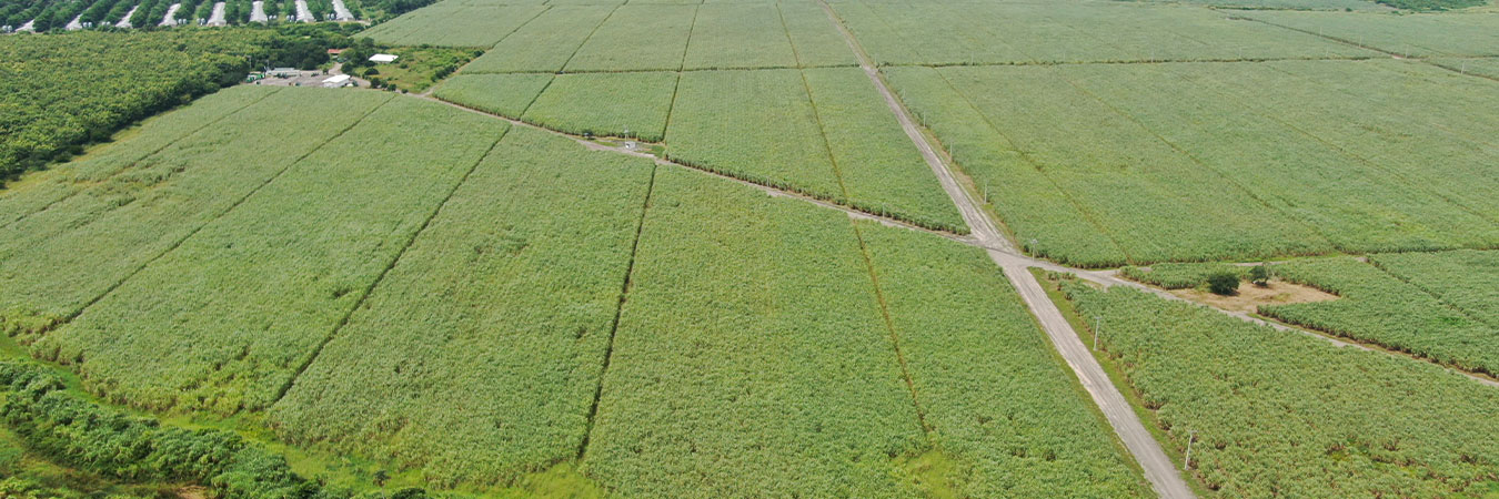 Conservación de recursos y circularidad