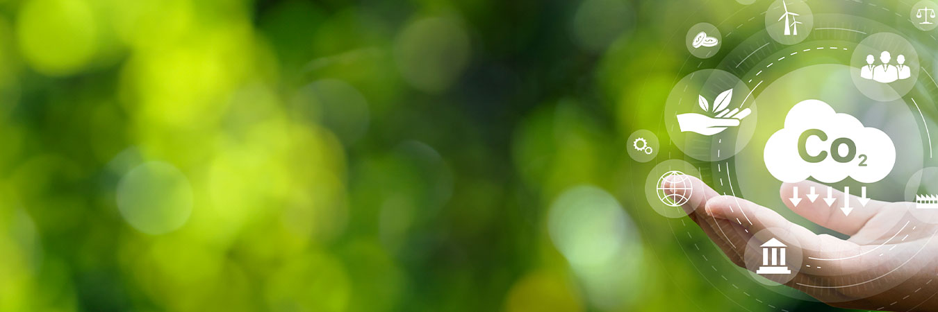 Gobernanza, comunicación y presentación de informes