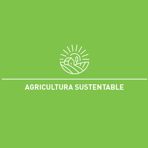 Agricultura Sustentable