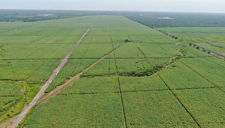 Nuestro Plan de Sustentabilidad