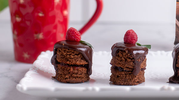 Mini Pasteles de arándano y chocolate